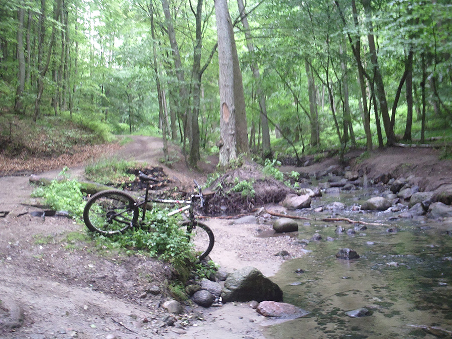 Zdjęcie roweru w lesie